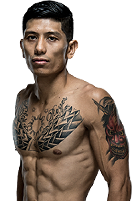 Jon Delos Reyes - UFC Fighter