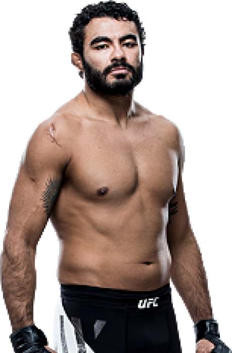 Rafael Natal - UFC Fighter