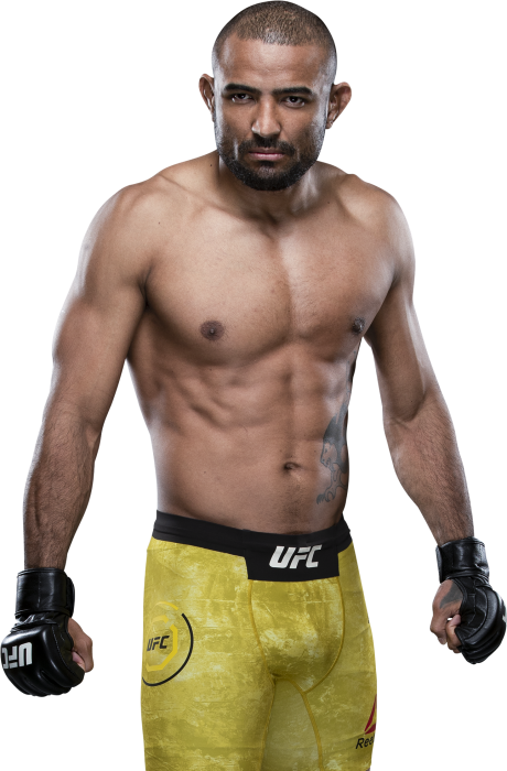 Sergio Moraes - UFC Fighter