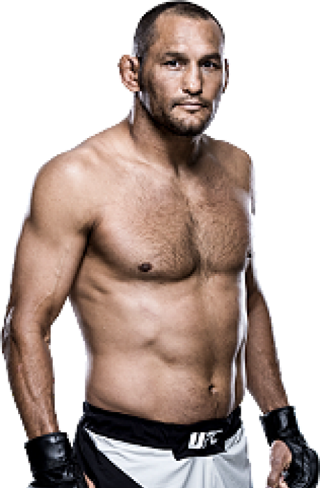 Dan Henderson - UFC Fighter