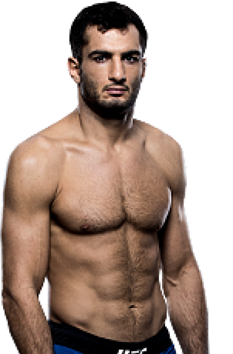 Gegard Mousasi - UFC Fighter Profile Photo