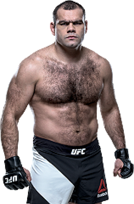 Gabriel Gonzaga - UFC Fighter