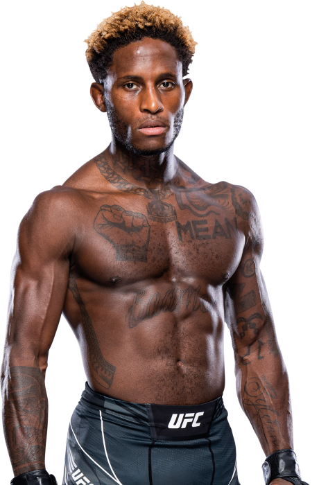 Hakeem Dawodu - UFC Fighter