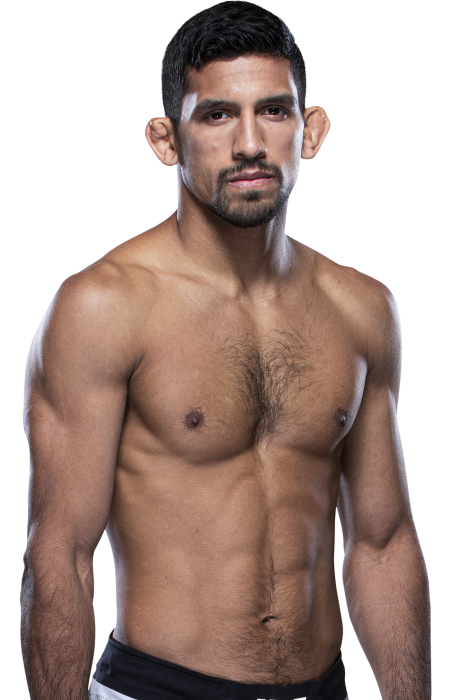 Manny Bermudez - UFC Fighter