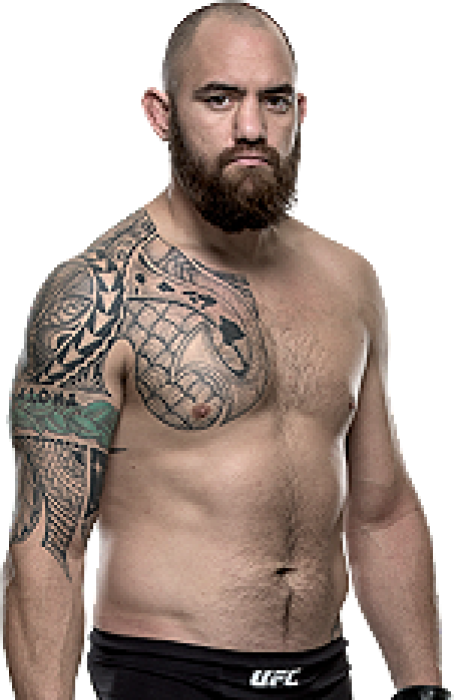 Travis Browne - UFC Fighter