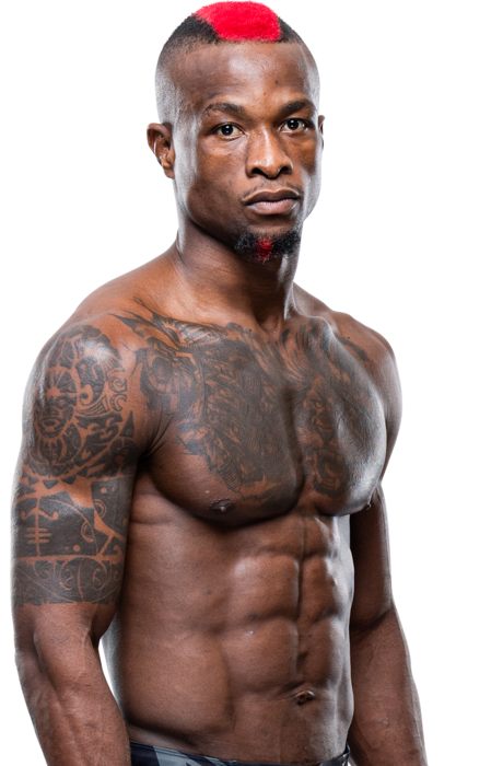 Marc Diakiese - UFC Fighter