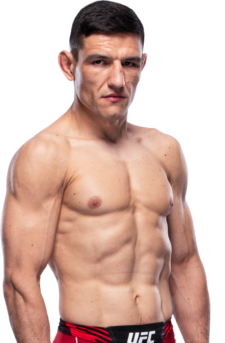 Damir Hadzovic - UFC Fighter