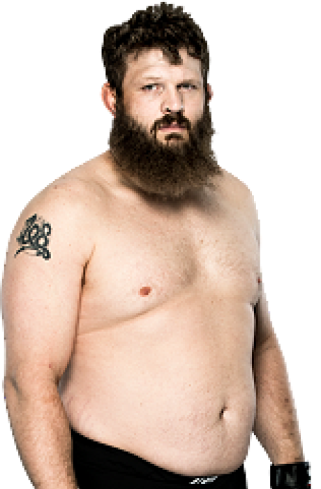 Roy Nelson - UFC Fighter