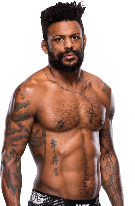 Michael Johnson - UFC Fighter