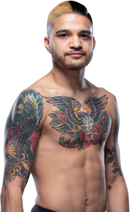 Benito Lopez - UFC Fighter