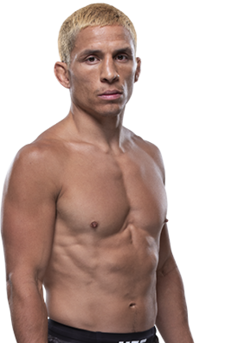 Joseph Benavidez - UFC Fighter