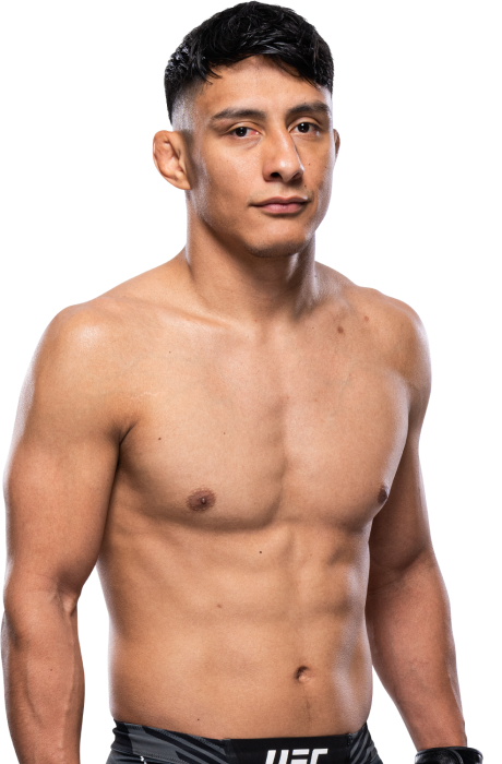 Fernie Garcia - UFC Fighter Profile Photo