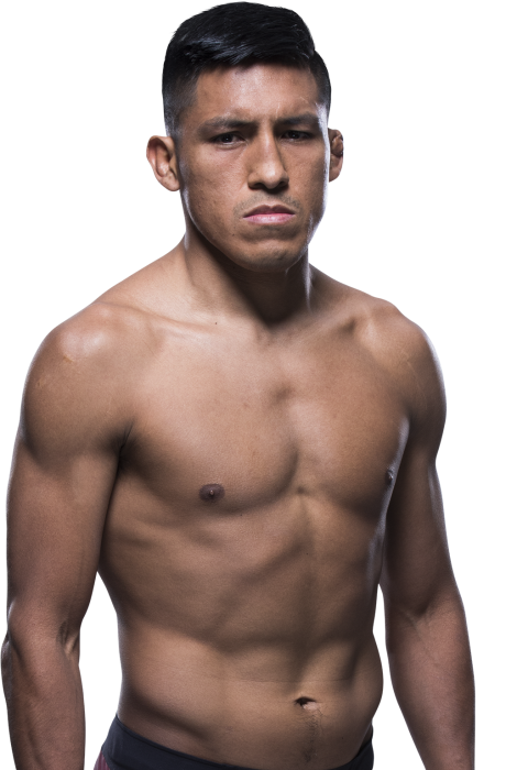 Enrique Barzola - UFC Fighter