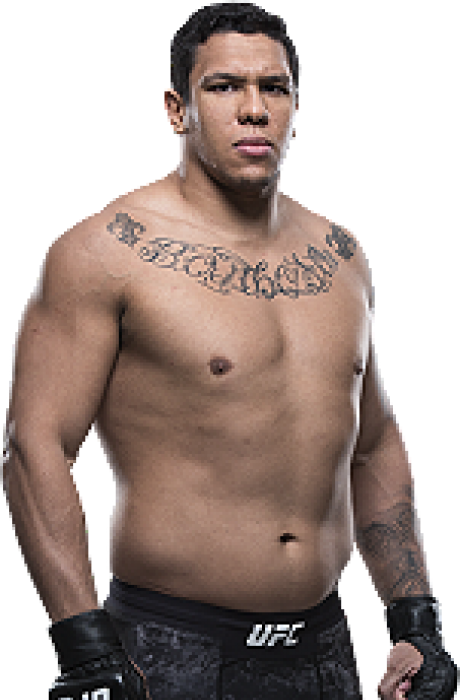 Luis Henrique - UFC Fighter