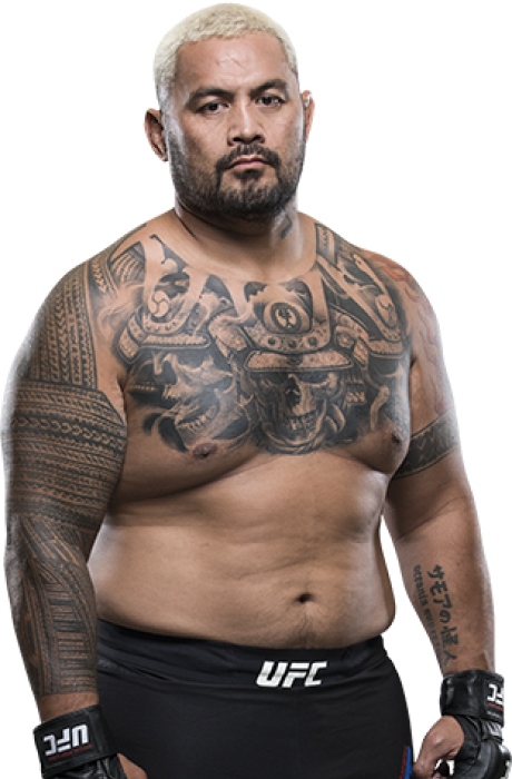 Mark Hunt - UFC Fighter