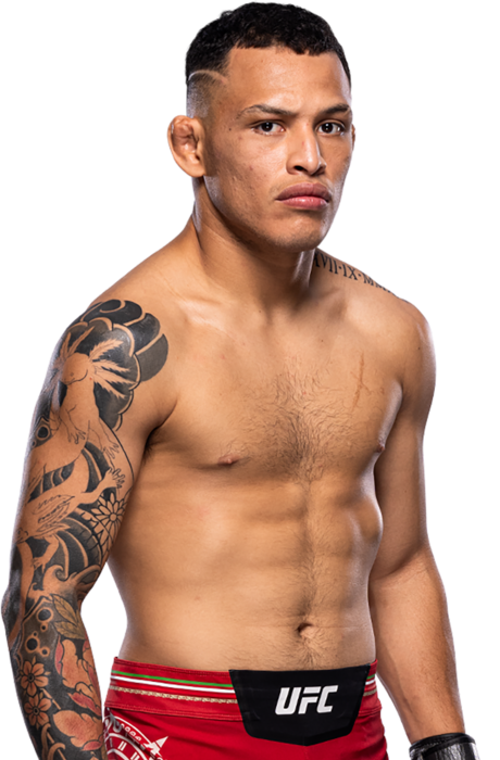 Ronaldo Rodriguez - UFC Fighter Profile