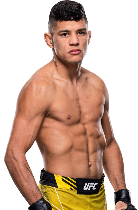 Gabriel Santos - UFC Fighter