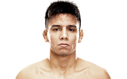 Miguel Torres - UFC Fighter