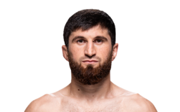 Magomed Ankalaev - #2 Ranked UFC Light Heavyweight Fighter